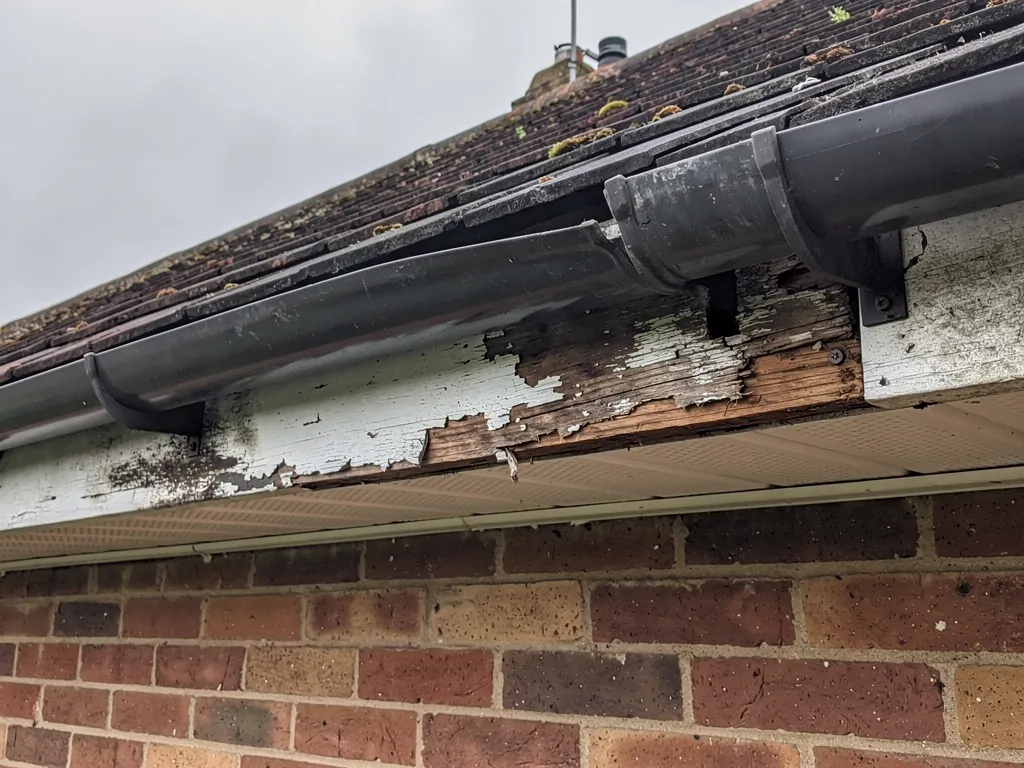 Rotten timber fascia and soffit with flaking paint