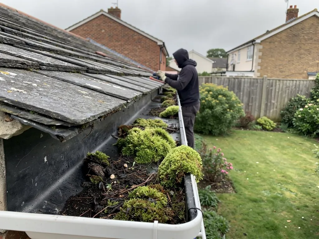 Roofer clearing clumps of moss from a gutter below old tiles