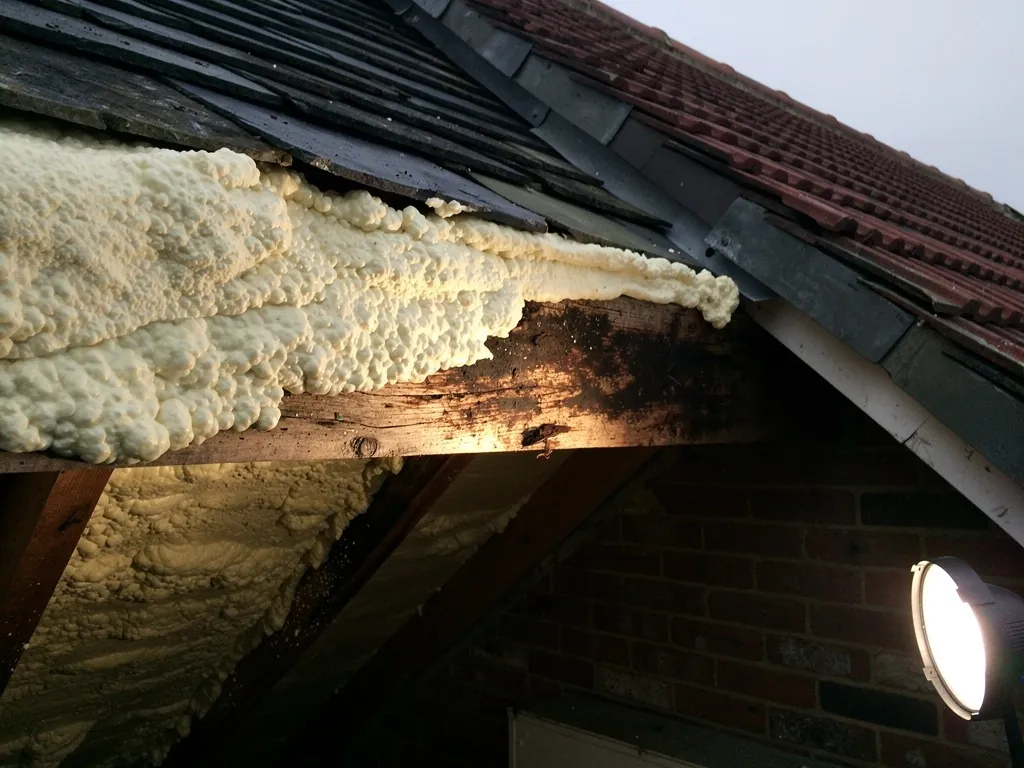 Spray foam cut away revealing damp-stained rafter timber