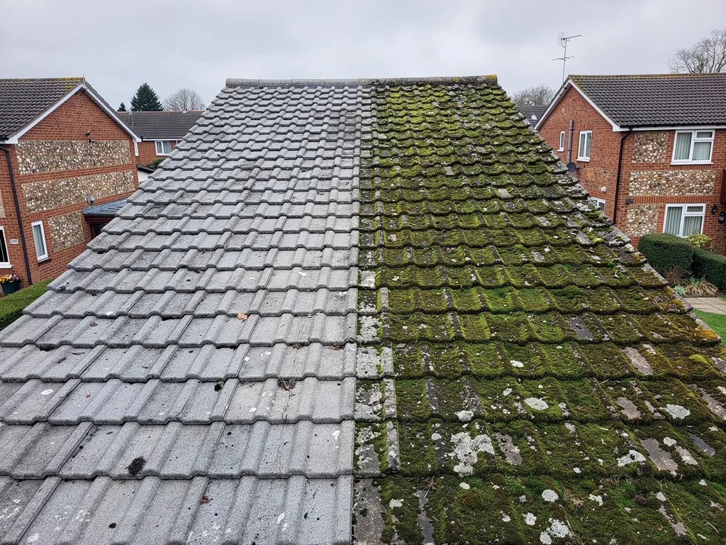 Roof half cleaned, grey tiles beside a moss-covered side