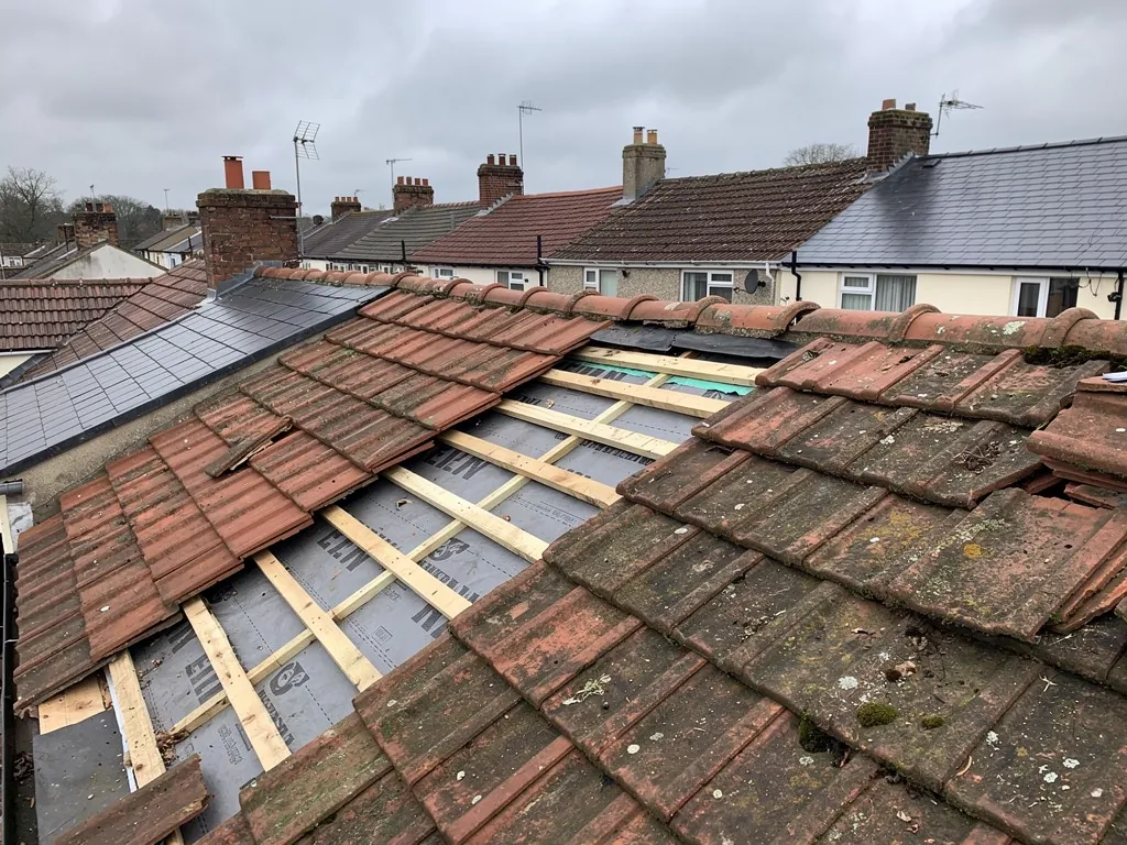Clay tile roof opened to battens and membrane for repair