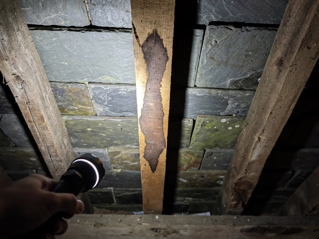 Torch showing a water-stained rafter beneath slates in a loft